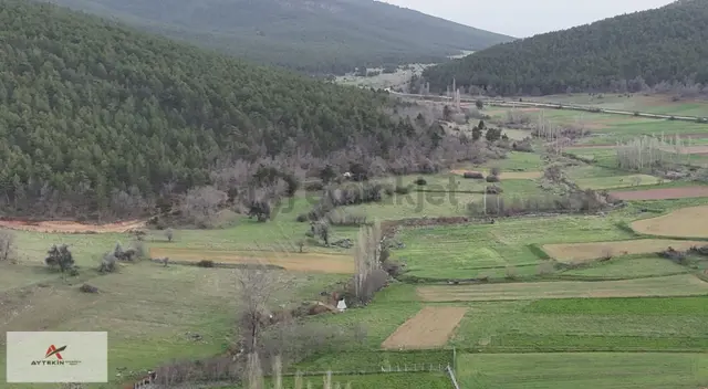 Ilgın Gökbudak Mahallesinde 1.610 M² Müstakil Tapulu Tarla 5