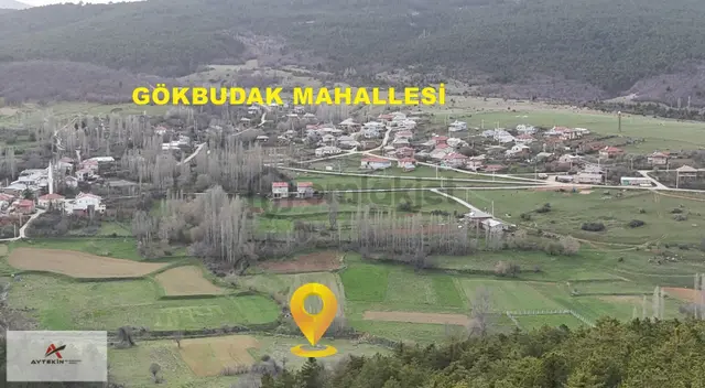 Ilgın Gökbudak Mahallesinde 1.610 M² Müstakil Tapulu Tarla 2