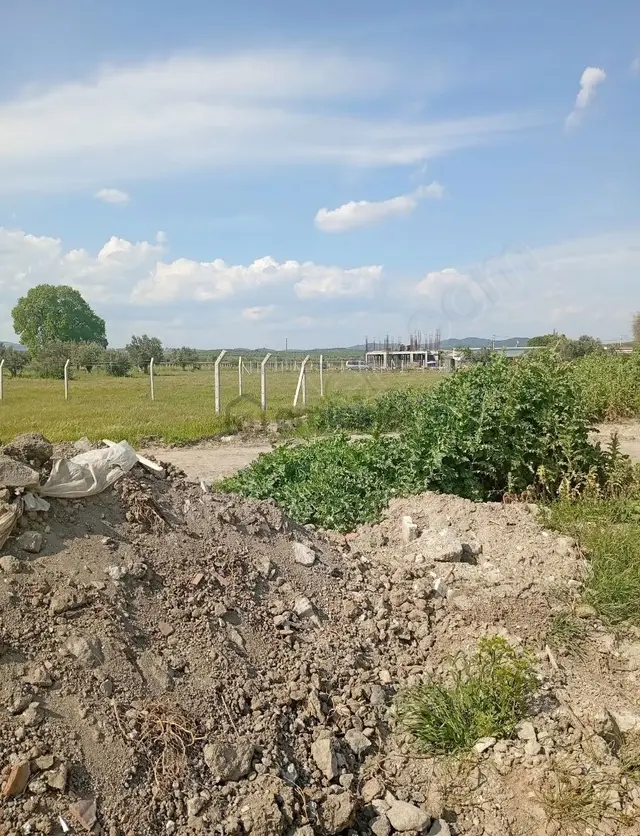 Saruhanlı Hacırahmanlıda Satılık İmarlı Arsalar 3