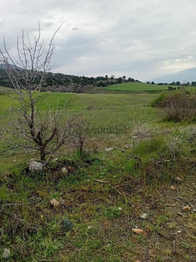 Tosya Akseki Köyüne 600metre (son Günler) 2