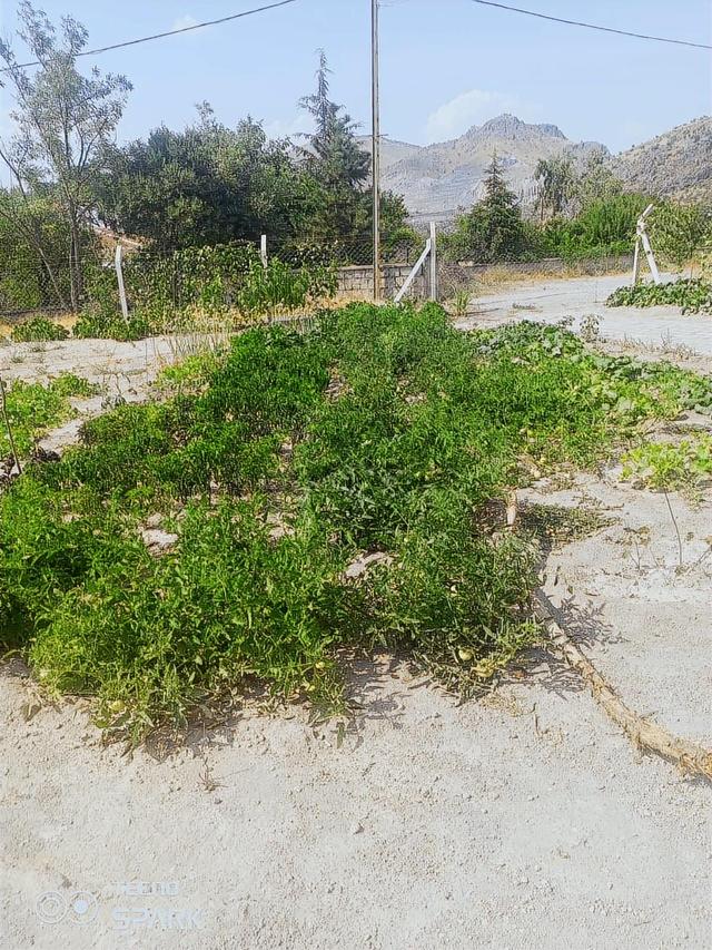 Eğribucakta Acil Satılık Müstakil Ev 5