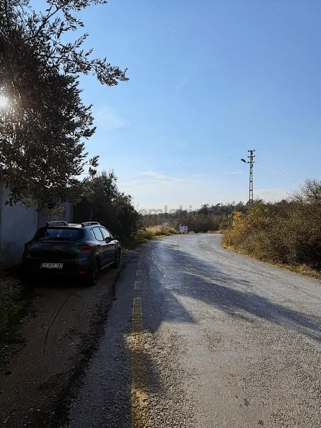 Bolkardan Resul Mahallesinde Satılık Zeytinlik Ve Müstakil Ev 5
