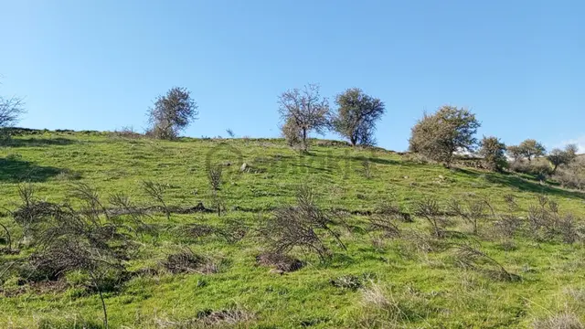 1411 M2 Tapulu Hisseli Tarla 3