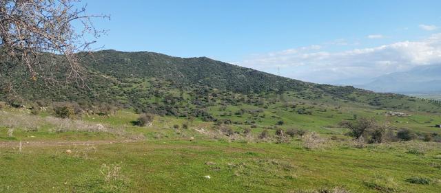 1411 M2 Tapulu Hisseli Tarla 1