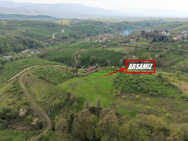 Emlak Evim - Hendek Güldibi Mh. Doğa İçinde 3.295 M2 İmarlı Arsa 4