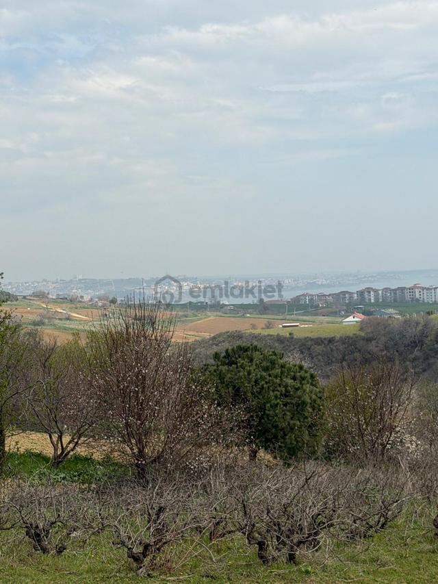 📍 Topağaç’ta 400 M² Altyapılı, Yolu Açık, Değer Kazanan Satılık Arsa! 4