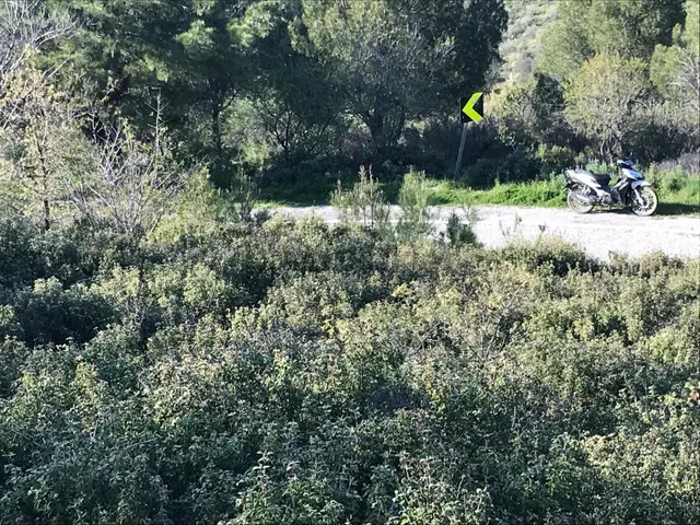 Uçardan Kumgedik'te 800 Metre Kare Arsa Fırsatı 4