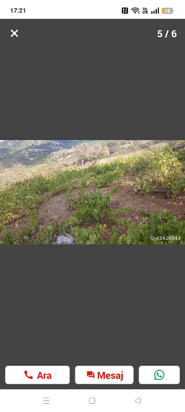 Satılık Tarla 2