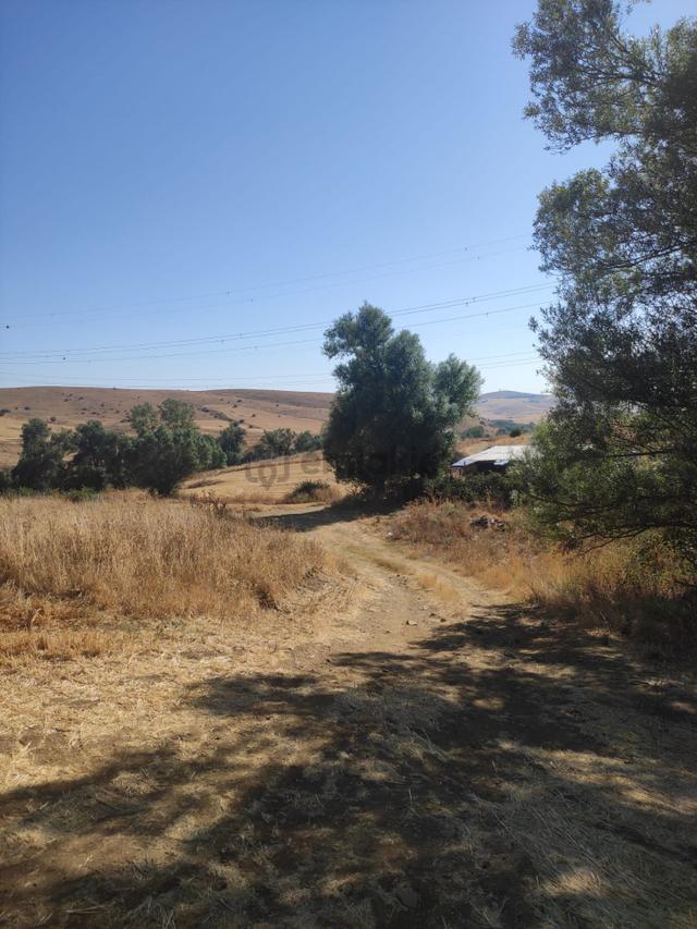 Sahibinden - Uludere’de Şehre Yakın - 555m² - Takasa Uygun - Yola 30m 4