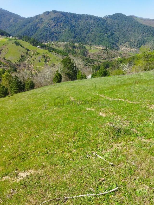 Orhaneli Göynükbelen'de Satılık Tarla 5.219 M2 5