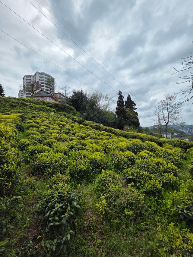 Taşçioğlu Emlaktan Satılık Villa İmarlı 3150 M2 Arsa İmara Açık Villa İmarlı 3 Kat İmarlı 5
