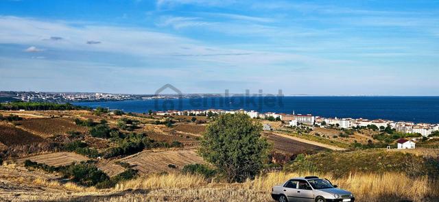 Tekirdağ Topağaç Mahallesinde Full Deniz Doğa Ve Şehir Manzaralı 1.150 M2 Villa İmarlı Yer 4