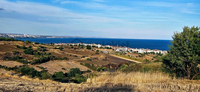 Tekirdağ Topağaç Mahallesinde Full Deniz Doğa Ve Şehir Manzaralı 1.150 M2 Villa İmarlı Yer 5