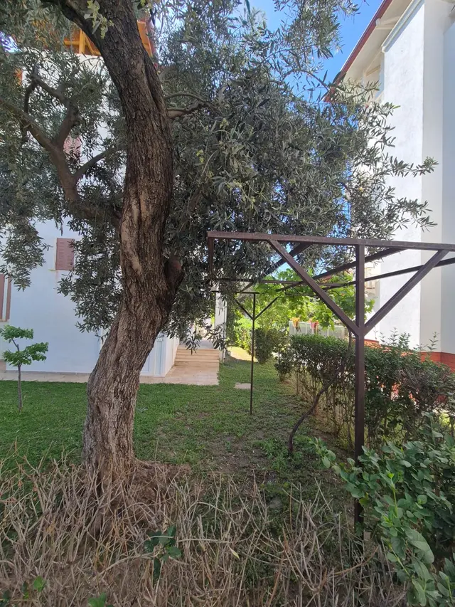 Denize 100m, Akbük'te Satılık 3+1 Müstakil Villa (eşyasız) 2