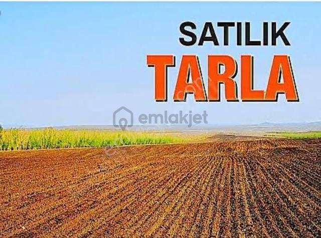 Gölbaşı Yaylabagda Satılık Arsa 3