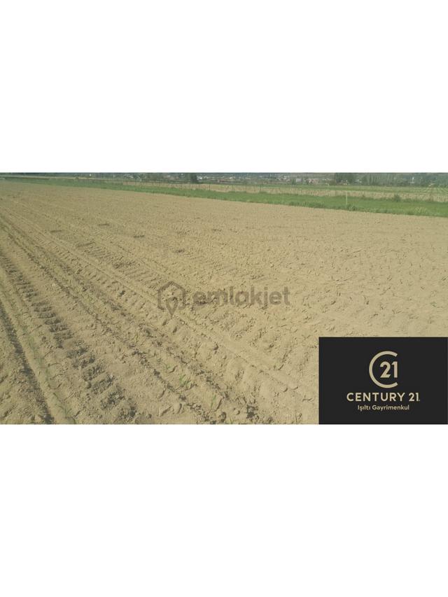 Century 21 Işıltı'dan Çine'de Satılık Verimli Tarla 4