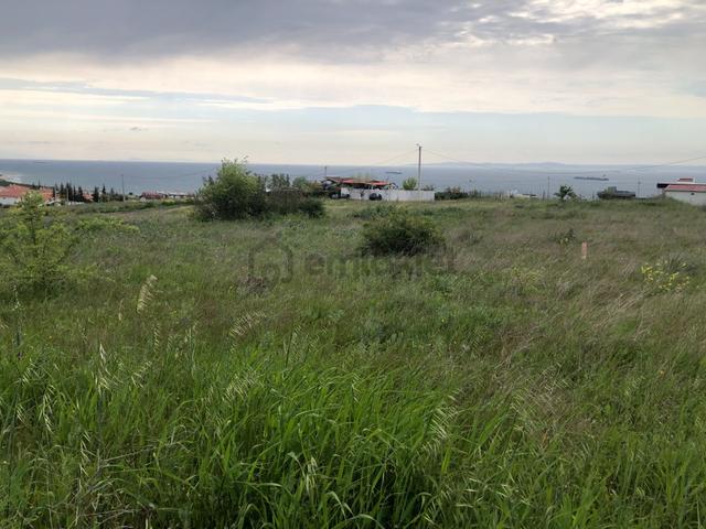 Şarköy De Işık Emlaltan İstiklal Mah De 0/25 İmarlı Arsa 4
