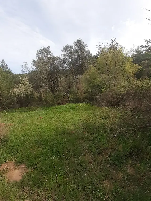 Soma Pirahmet Köyü'nde 2.576 M² 2