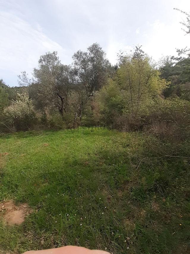 Soma Pirahmet Köyü'nde 2.576 M² 4