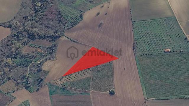 Asyaport Limanı Mevcut İmar Planı İçinde Kısa Vadede Yatırımcılara Yüksek Kazanç Garantisi 4
