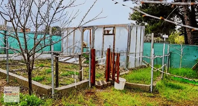 İzmir Kemalpaşa Damlacık Mh Satılık Bahçe 4
