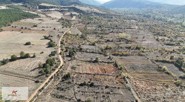 Konya / Doğanhisar / Cumhuriyet-ayaslar Mahallesinde 540 M² Müst 4