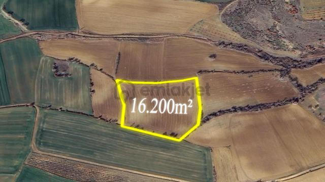 Asyaport Limanı Mevcut İmara Çok Yakın Bölgede Nakit İhtiyacından Acil Satılık Fırsat Kelepir Arazi 3