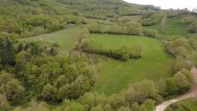 Öztarlacıdan Akarca Satılık Yatırım Fırsatı Arazi 22550 M2 5