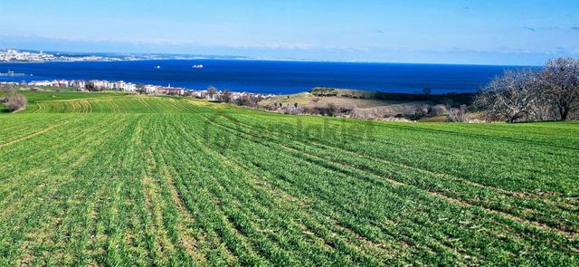 Tekirdağ Topağaç Mahallesinde Full Deniz Doğa Ve Şehir Manzara 75 Adet Villa Projeye Uygun Arazi 5