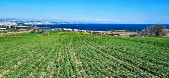 Tekirdağ Topağaç Mahallesinde Full Deniz Doğa Ve Şehir Manzara 75 Adet Villa Projeye Uygun Arazi 3