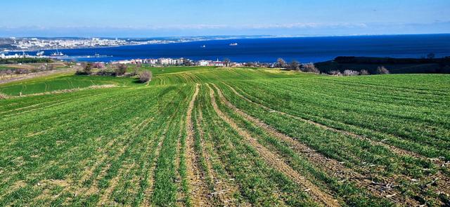 Tekirdağ Topağaç Mahallesinde Full Deniz Doğa Ve Şehir Manzara 75 Adet Villa Projeye Uygun Arazi 2