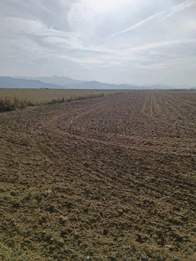 Söke Akçakaya'da 18.625 M2 Yola Cepheli Satılık Tarla 5