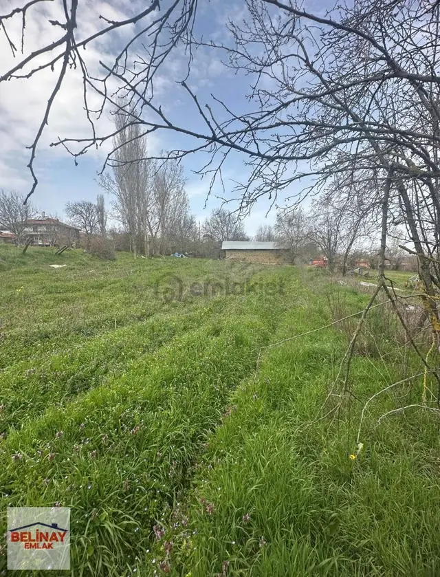 Gölpazarın'da 2545 M2 Kerpiç Ev Ahır Samanlık Fırın Ve Bahçesi 4