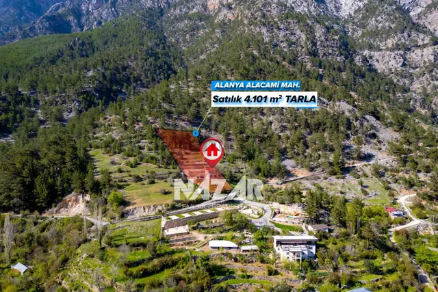 Alanya Dim Alacami’de 4.101 M² Tarla Ve 4+1 Satılık Müstakil Ev 3