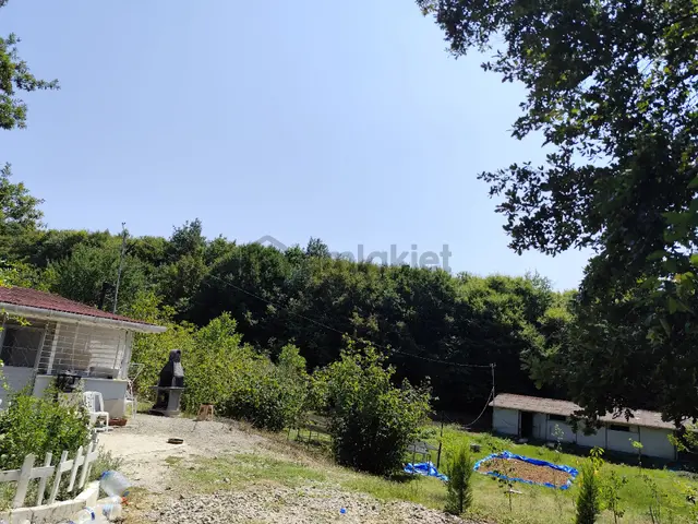 Kefken Tapulu Arsa + Fındıklık, Toplam 10 Dönüm. İçinde Ev 2