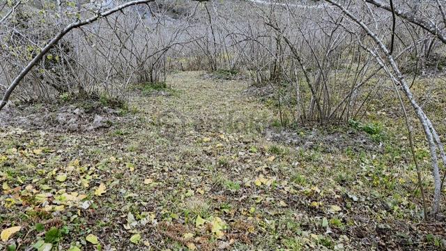 İlyas Nas'tan Uluderede Ful Bakımlı Satılık Fındık Tarlası 4