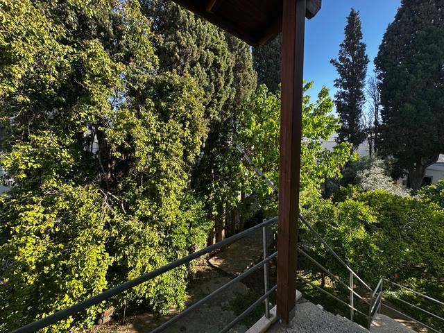 Bodrum Merkezde Bahçe İçerisinde Sezonluk Yazlık 4