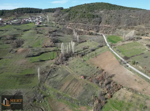 Pamukova Akçakayada 3.341 M² Manzara Hakimi Bahçe 3