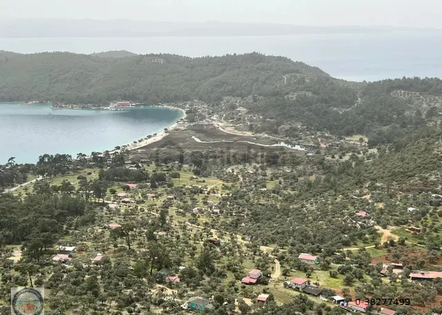 Menteşe Zeytinde Deniz Manzaralı, Yatırımlık 5 Dönüm Tarla 3