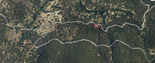 Eu Gayrimenkul'den 1495 M2 Kadastral Yolu Olan Fıstık Çamlığı 4