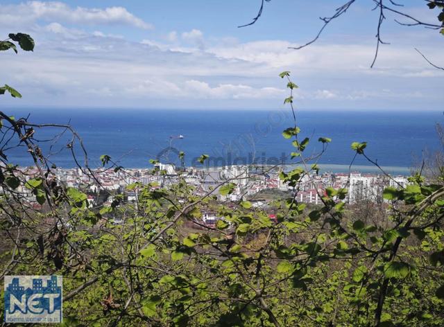 Net Profesyonel Emlak'tan Satılık Deniz Manzaralı Arsa 5