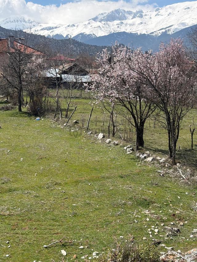 Konya Beyşehir Kurucuova Da İmarlı Arsa 3