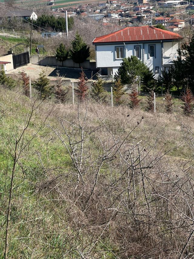 Ayvalı Köyünde Yatırım Fırsatı İmarlı Satılık Arsa 4