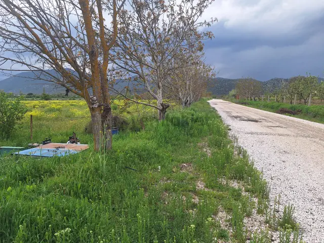 Asya Emlaktan Burdur Ağlasun Hisarköy De Satılık Fırsat Tarla 2