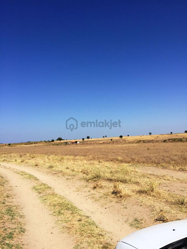 Keşan-enez Yoluna 3 Km 1.836m2 Asfalta 2.parsel Satılık Arsa 2