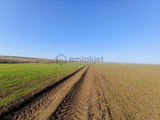 Arzulu'da Köye Ve Hayrabolu Yoluna Yakın Satılık 7500 M2 Tarla 4