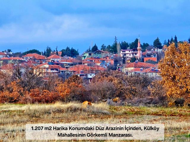 Uşak Karahallı Külköy'de 1207 M² Ağaçlı Tarla. Köy İlçe Toki O.sanayi Manzaralı. Açıklamayı Okuyunuz 1