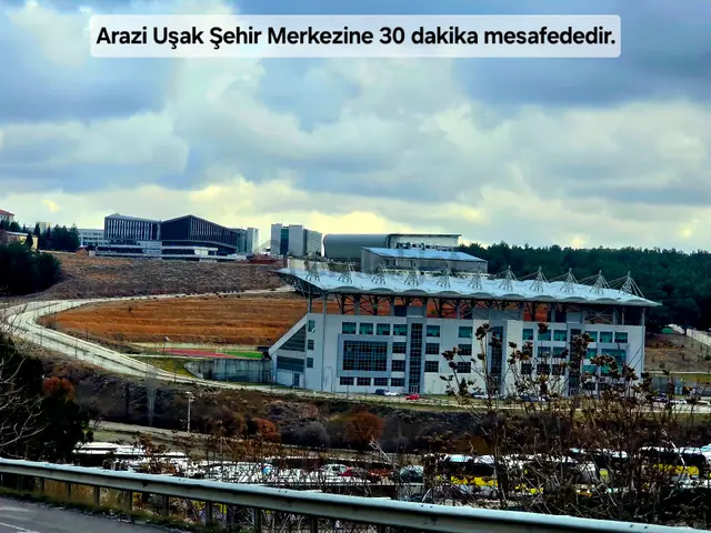 Uşak Karahallı Külköy'de 1207 M² Ağaçlı Tarla. Köy İlçe Toki O.sanayi Manzaralı. Açıklamayı Okuyunuz 3