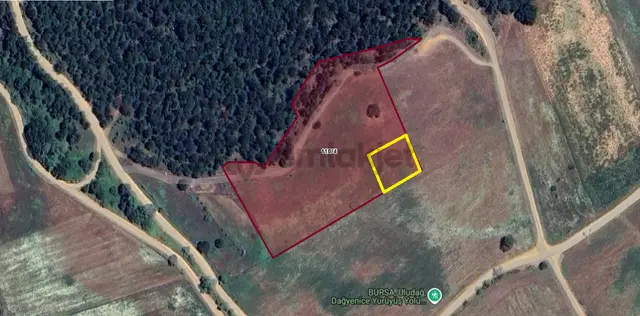 Doğancı'da Satılık 915 M2 Tarla 3