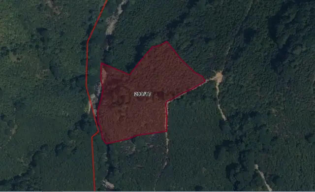 Lerox Uçar'dan Kazımkarabekir'de 11.051 M² Fındık Bahçesi 1